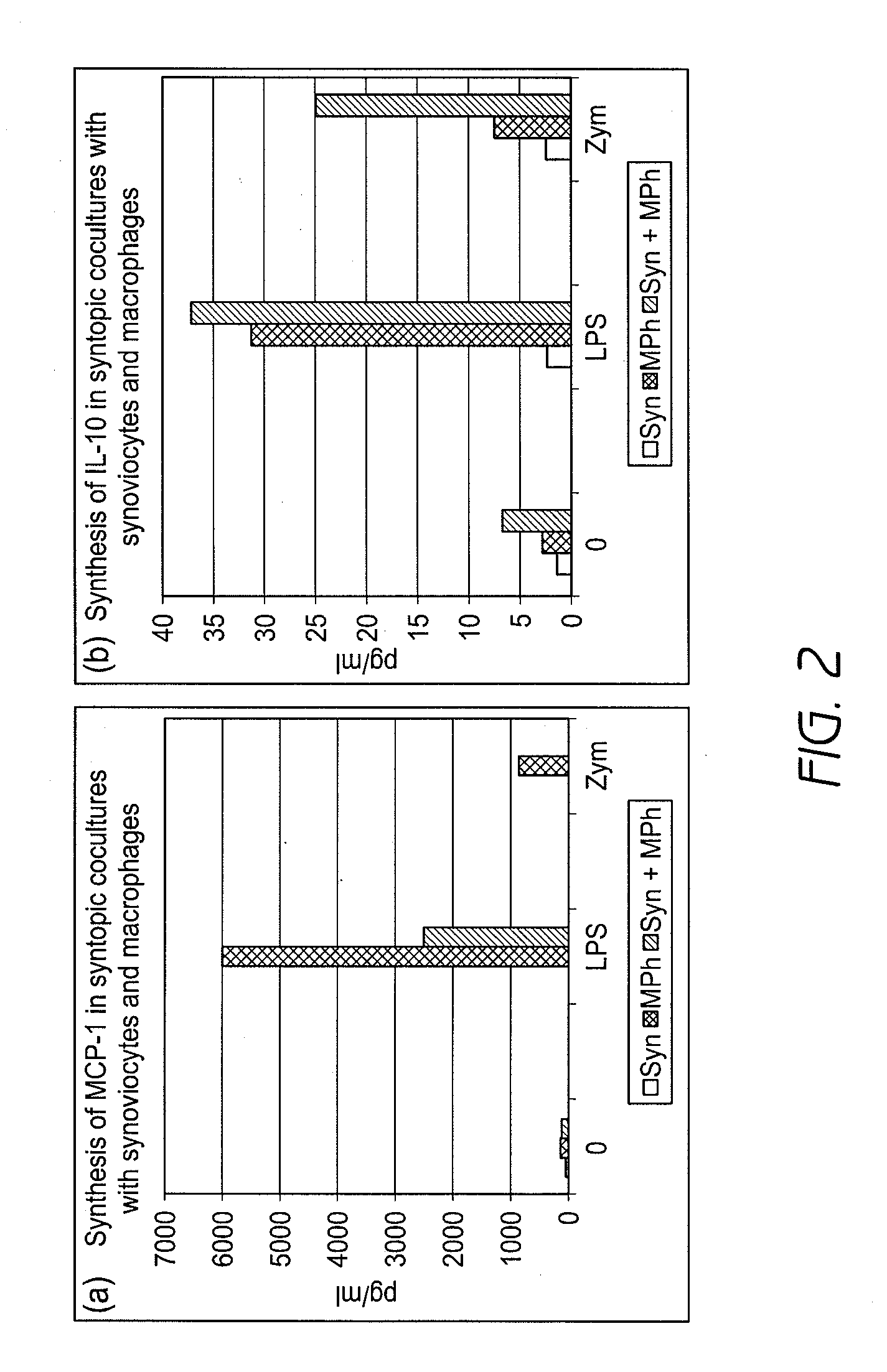 Cell culture system, process for the production thereof, and the use thereof in preclinical investigation