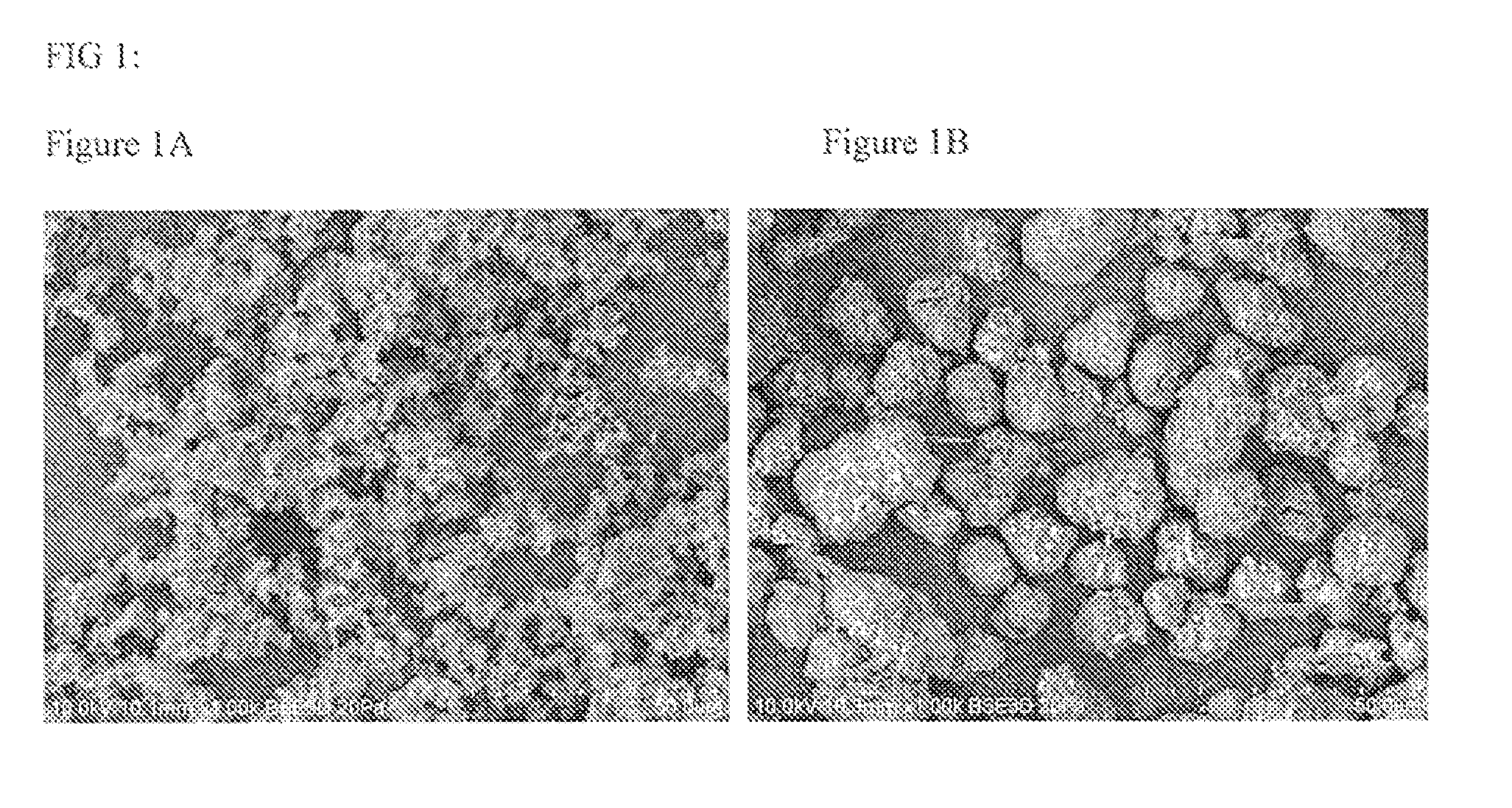 Compositions of Substantially Spherical Particles and Methods of Making Thereof