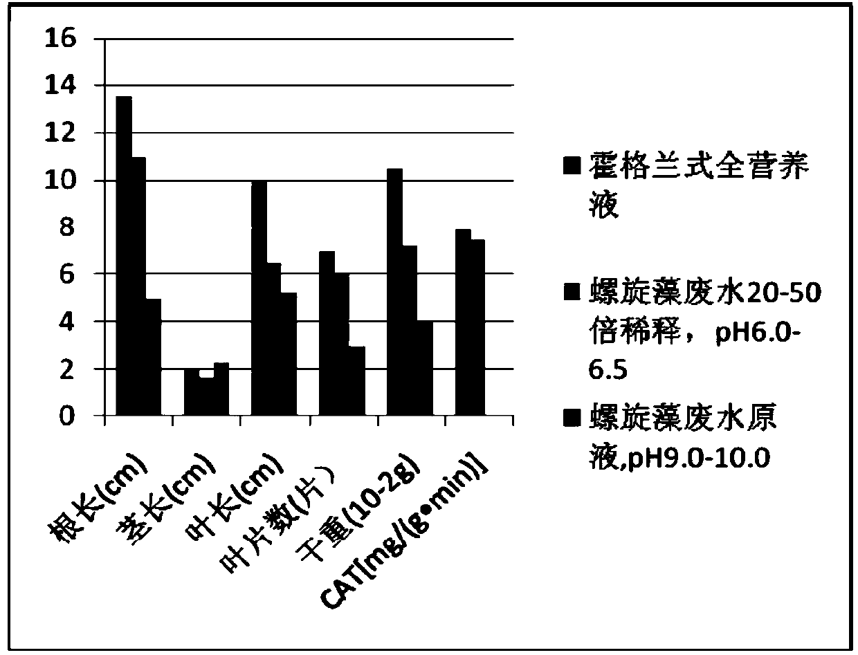 Method for cultivating vegetables in water mode through spiral seaweed cultivation waste water
