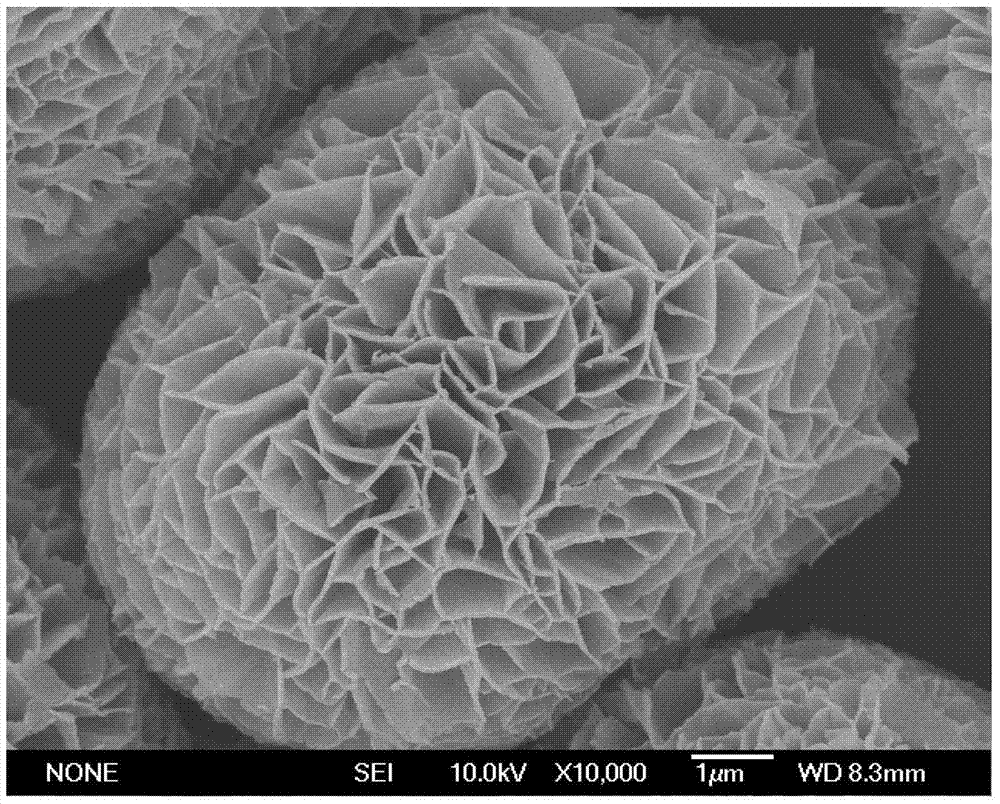 Method for producing flower-like sphere type nanometer magnesium hydroxide with characteristics of light weight and high specific surface area