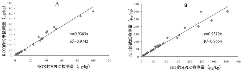 A double detection test paper for roxarsine and nifedipine acid