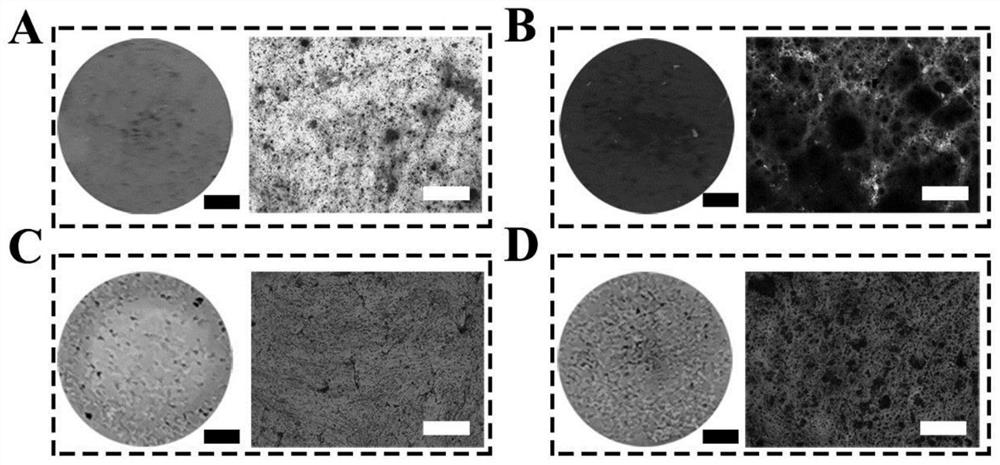 A kind of small size calcium phosphate fiber and its preparation method and application