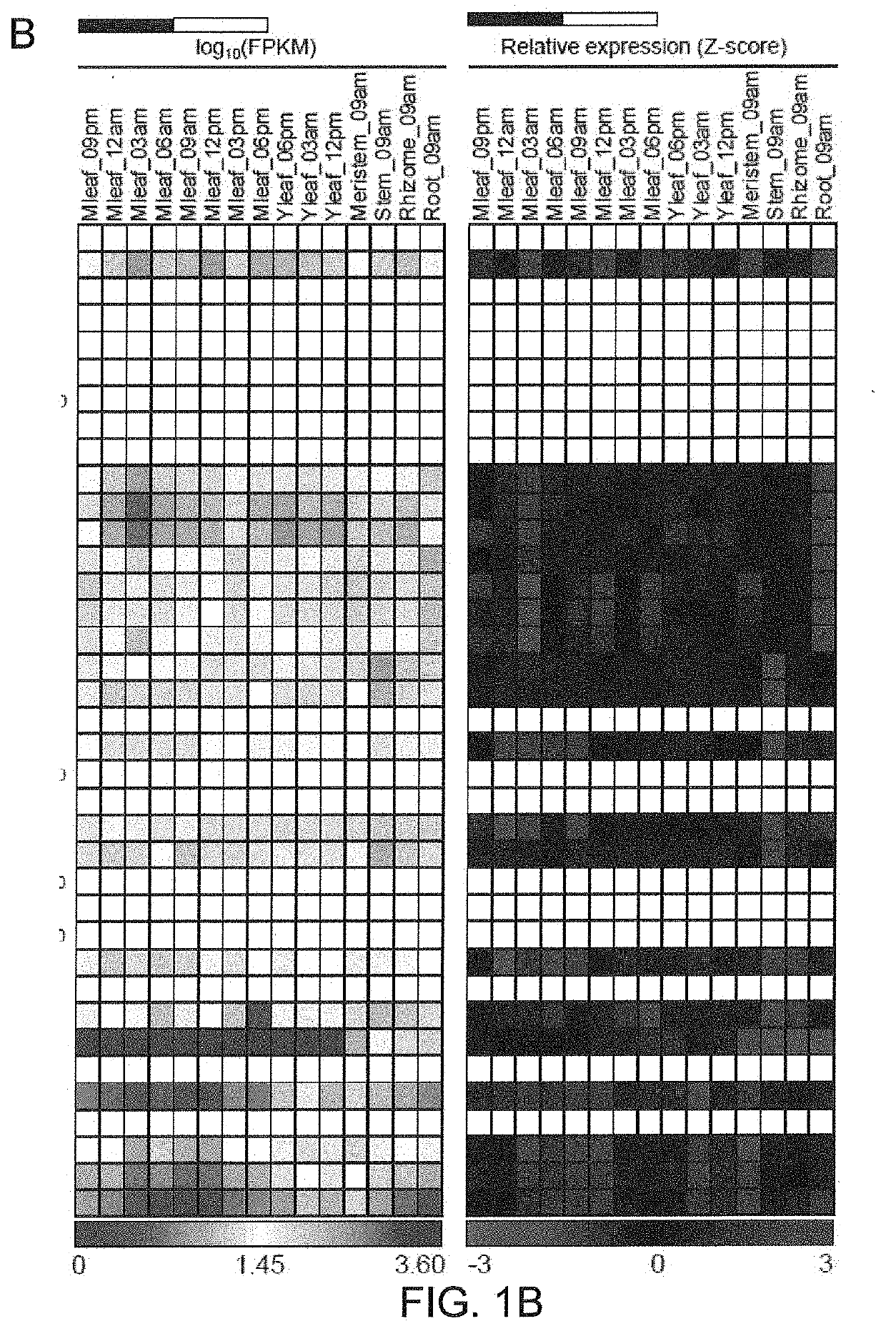 Genes for enhancing salt and drought tolerance in plants and methods of use