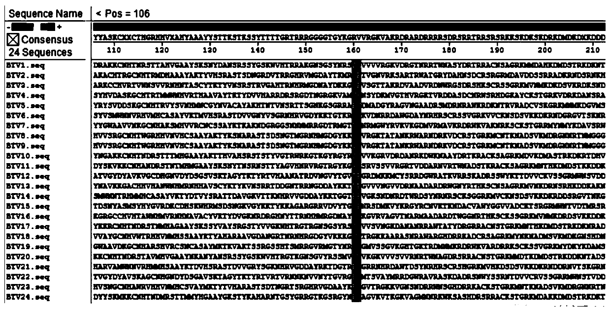 Type 4 bluetongue virus vp2 protein neutralizing B cell antigen epitope polypeptide and application thereof