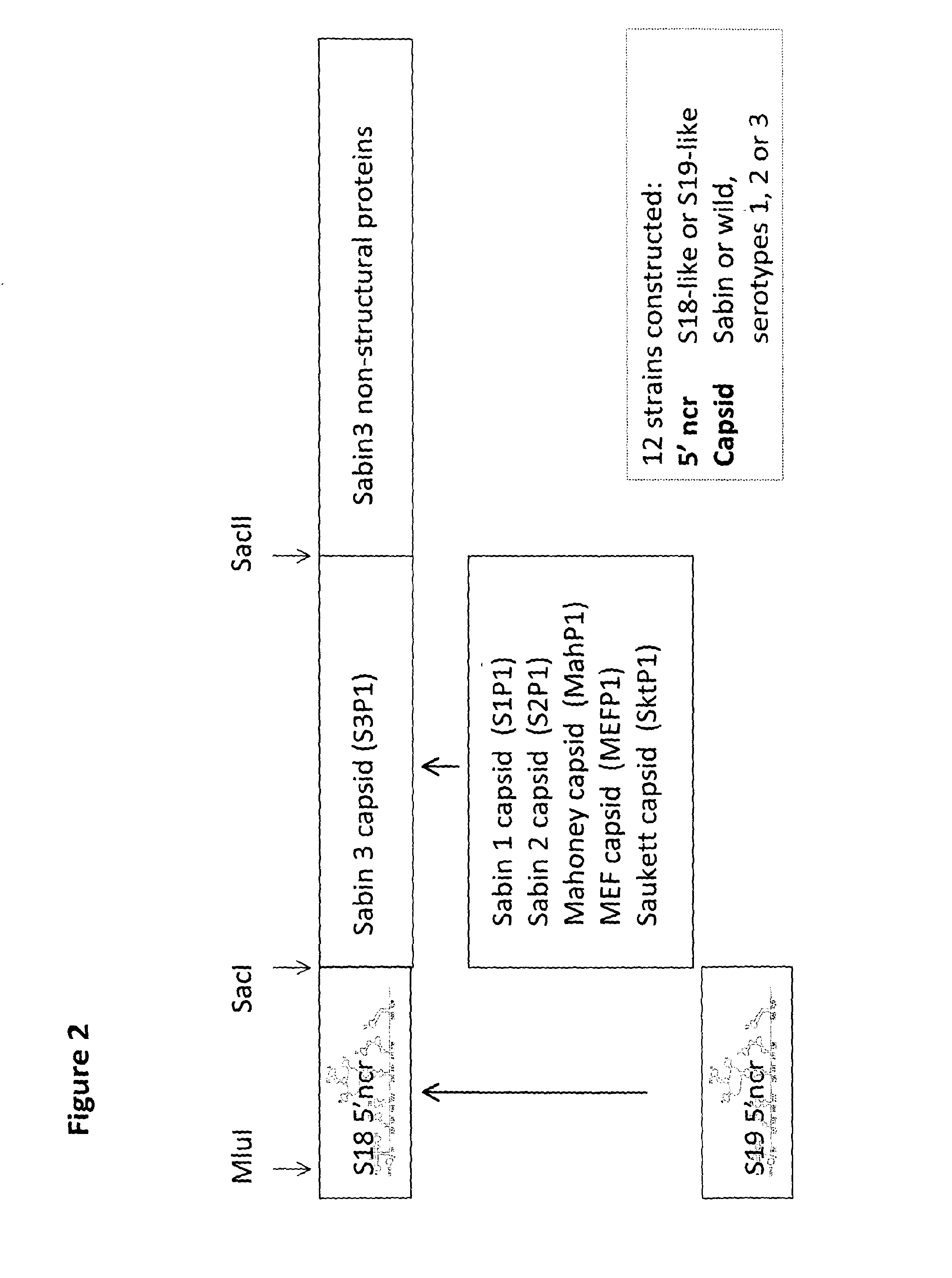 Inactivated poliovaccine