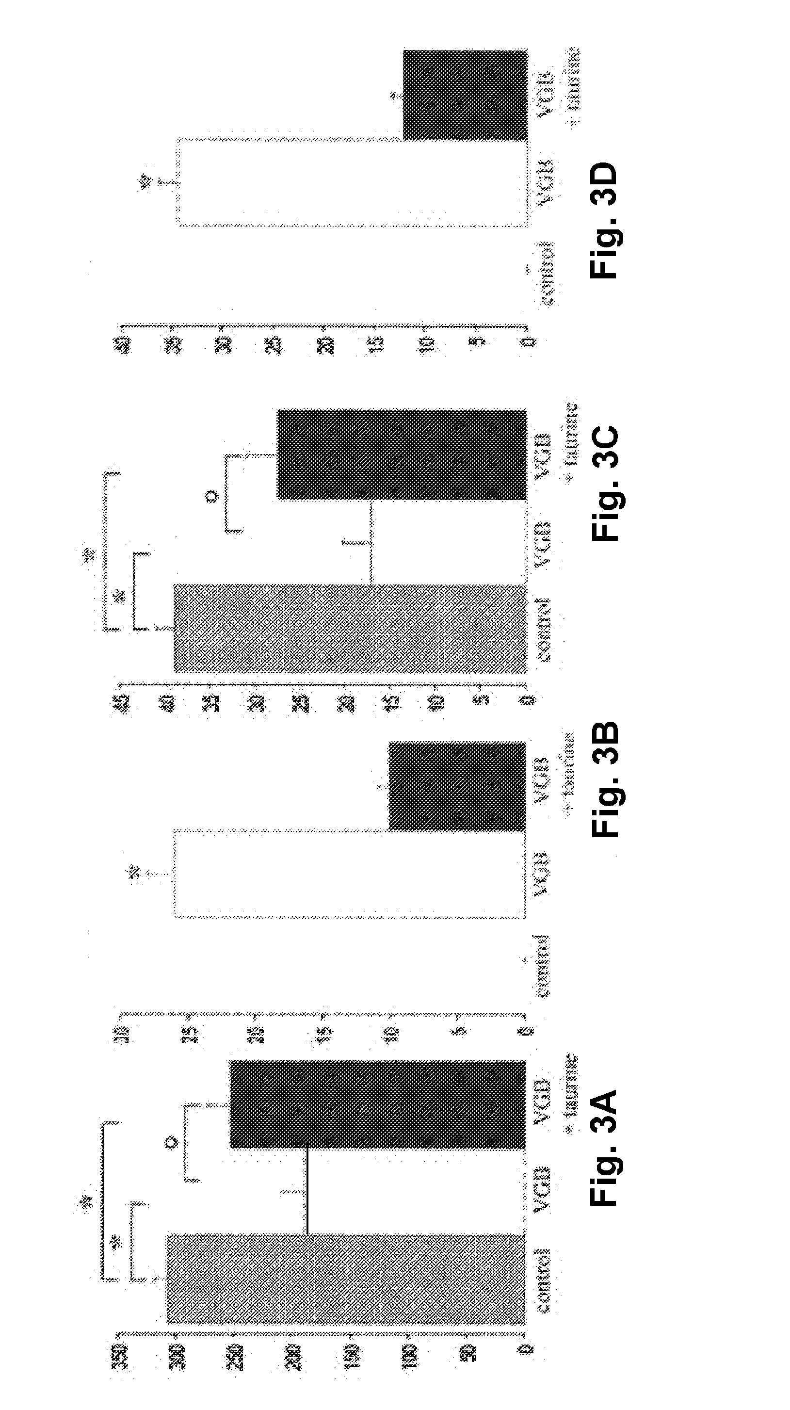 Anticonvulsive pharmaceutical compositions