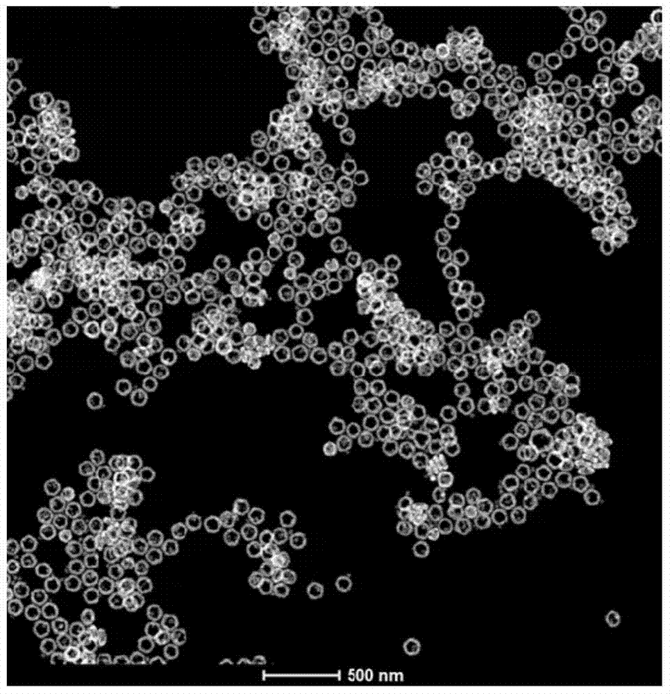 Noble metal nano ring and preparation method thereof