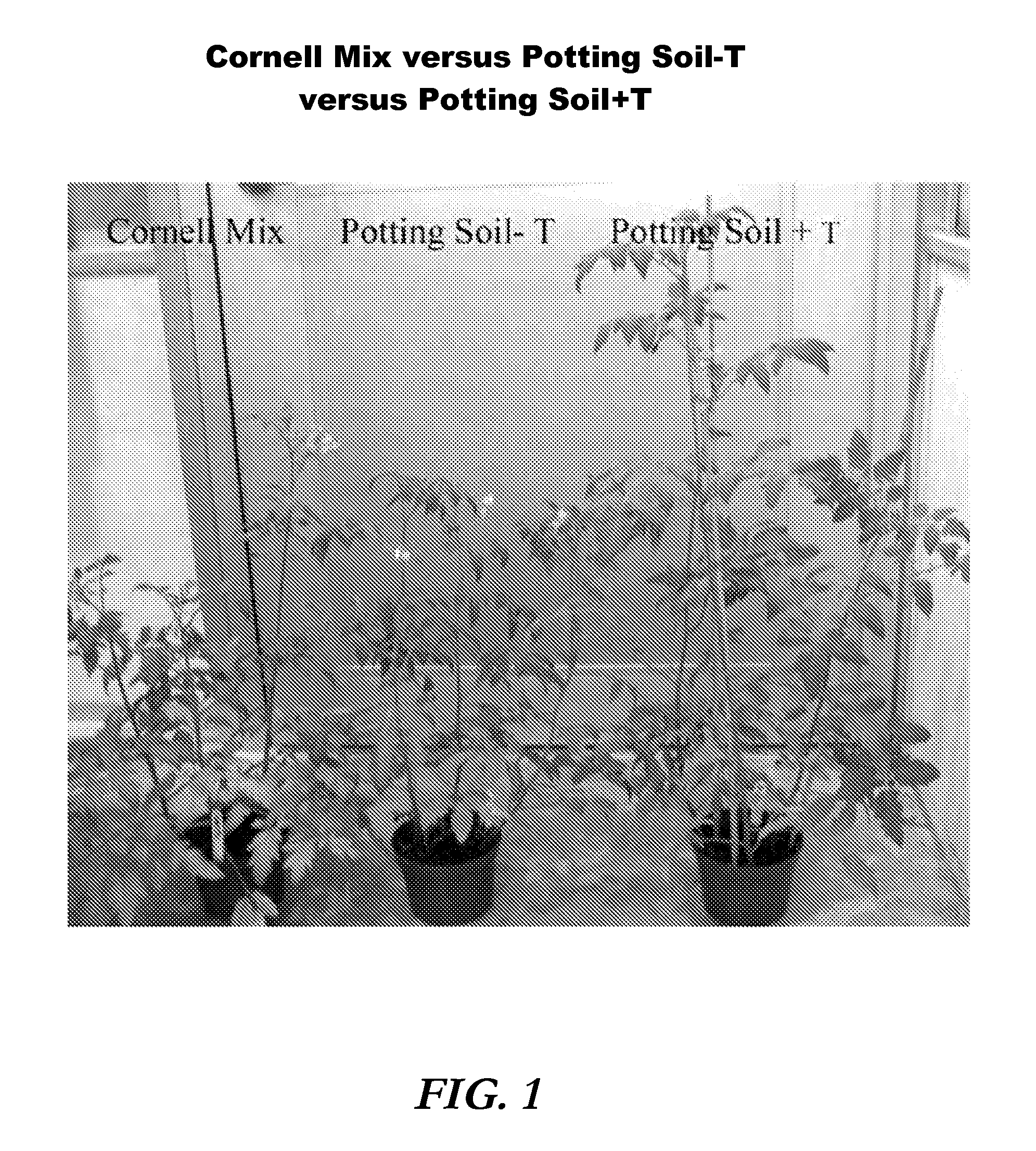 Plant propagation medium and methods of making and using it
