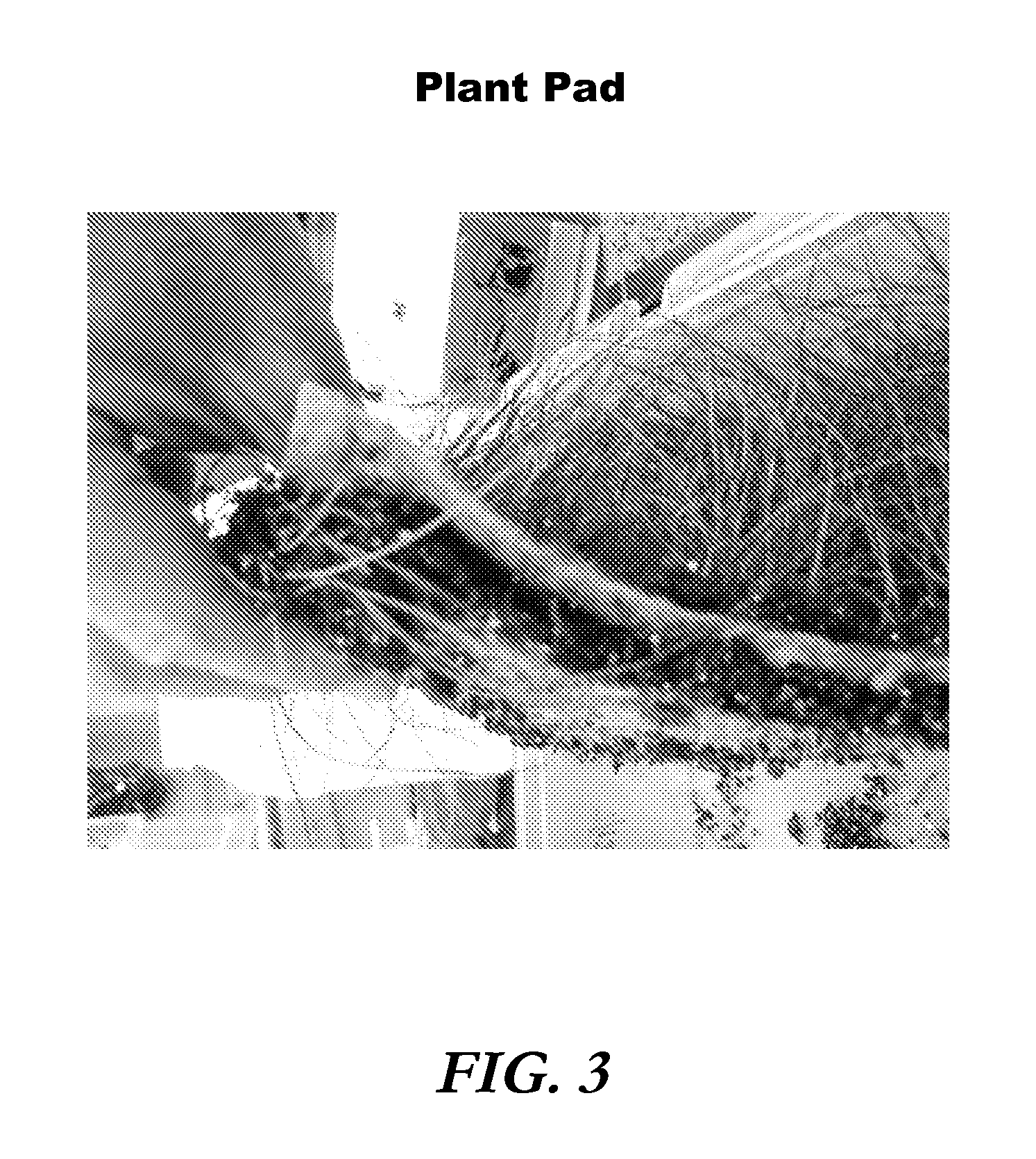 Plant propagation medium and methods of making and using it