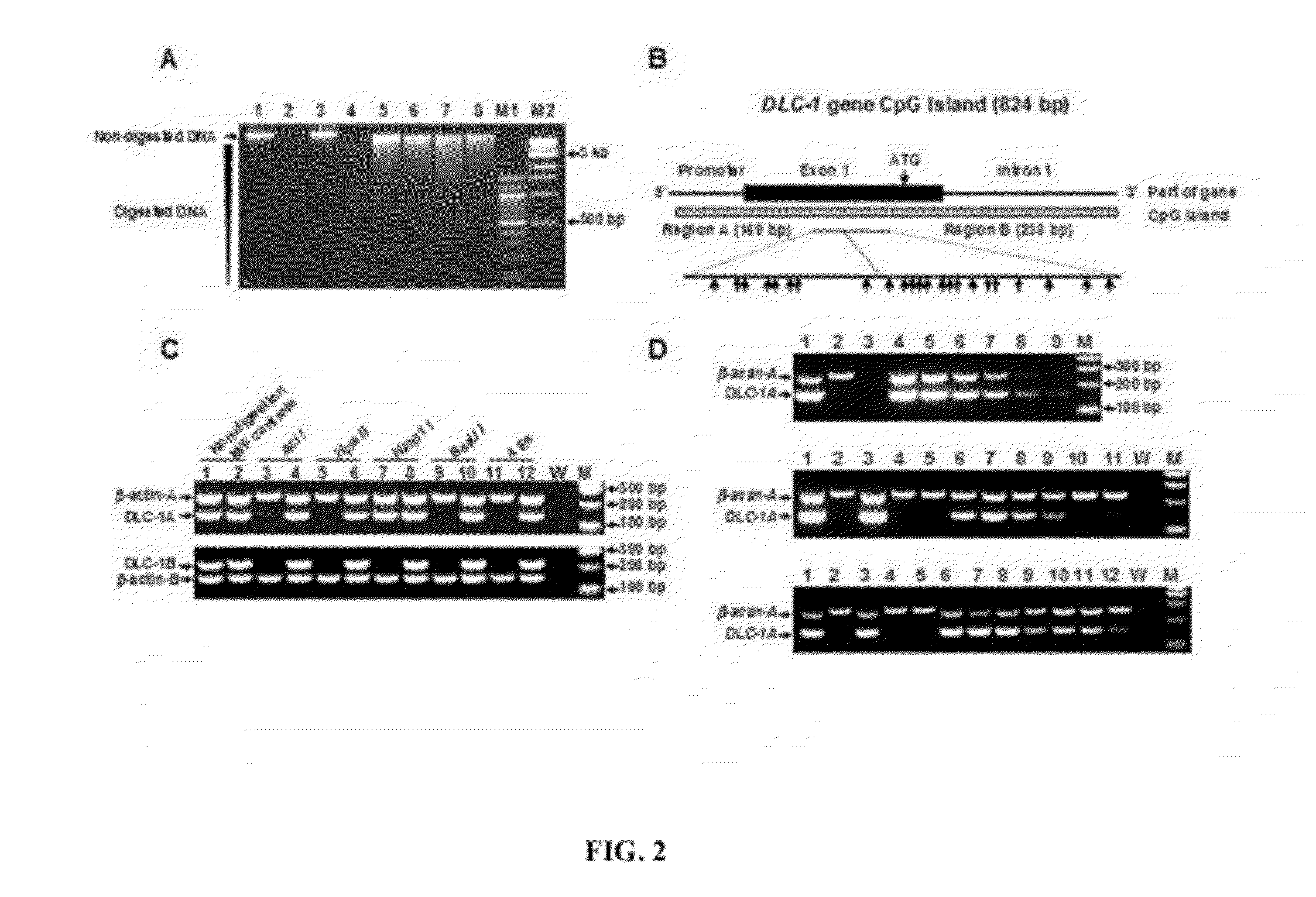 Methods for detecting rare circulating cancer cells using DNA methylation biomarkers