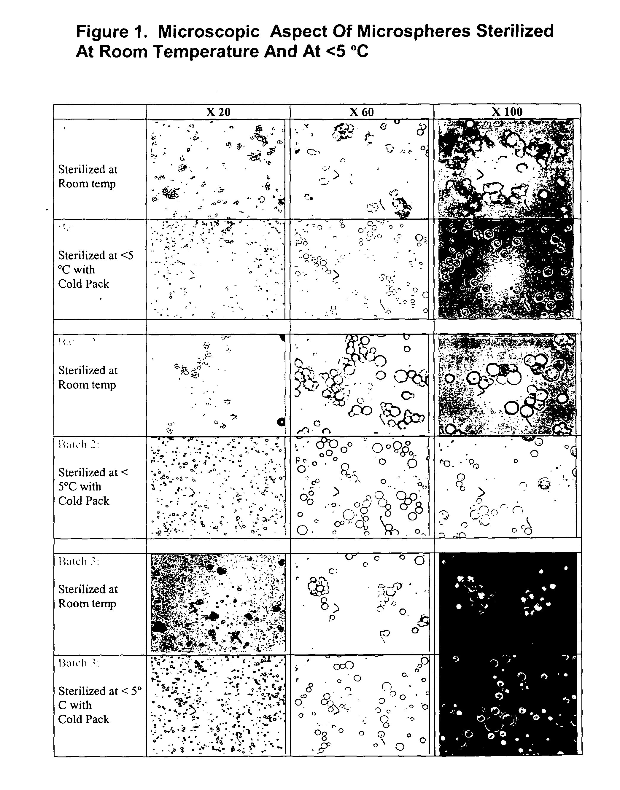Method of sterilization of polymeric microparticles