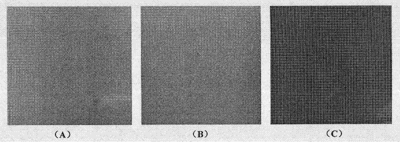 Preparation method of perfluorinated high-temperature proton-conductor composite membrane