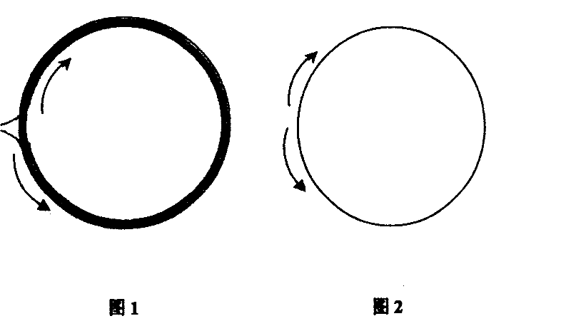 Optical gyroscope with waveguide construction implemented through organic polymer material and method for preparing same