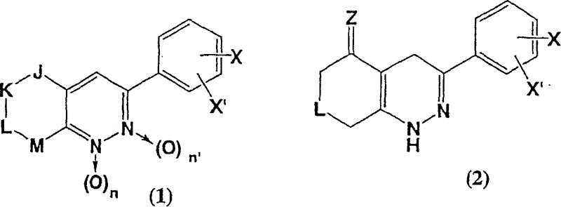 3-phenyl-cinnoline homologue and antitumor agent containing the same