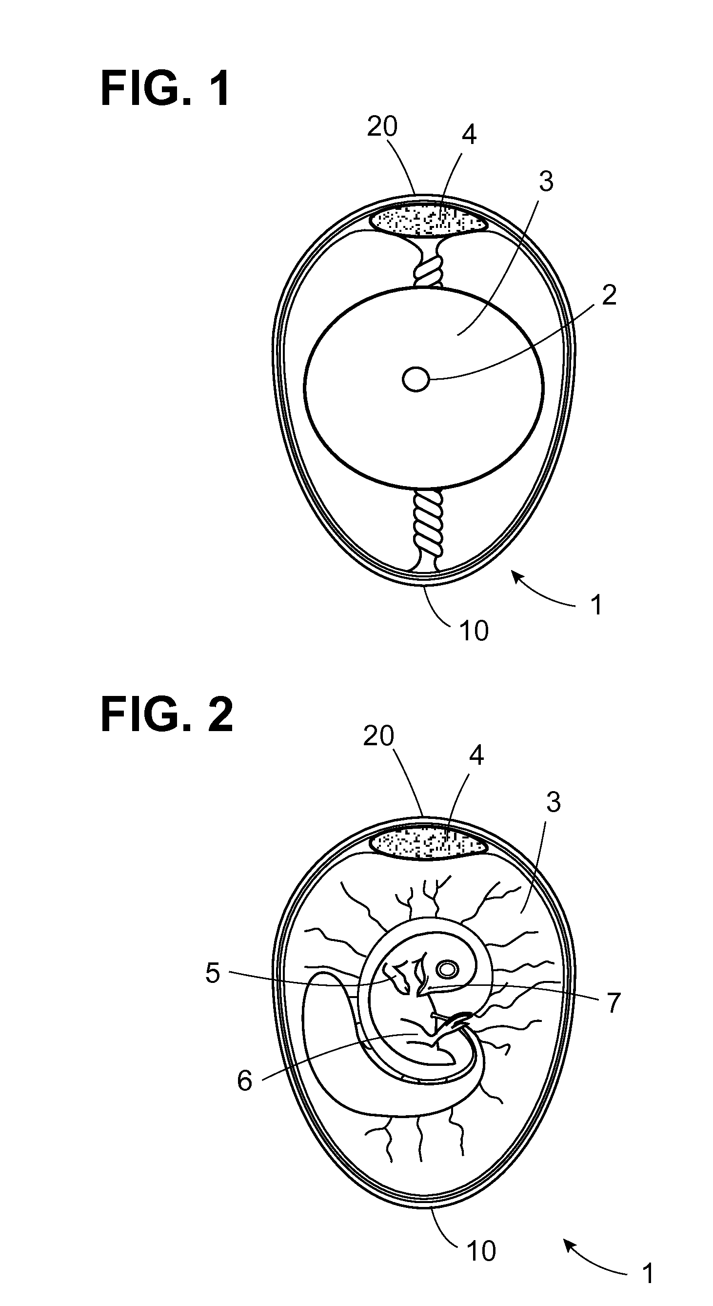 Non-contact egg identification system for determining egg viability, and associated method
