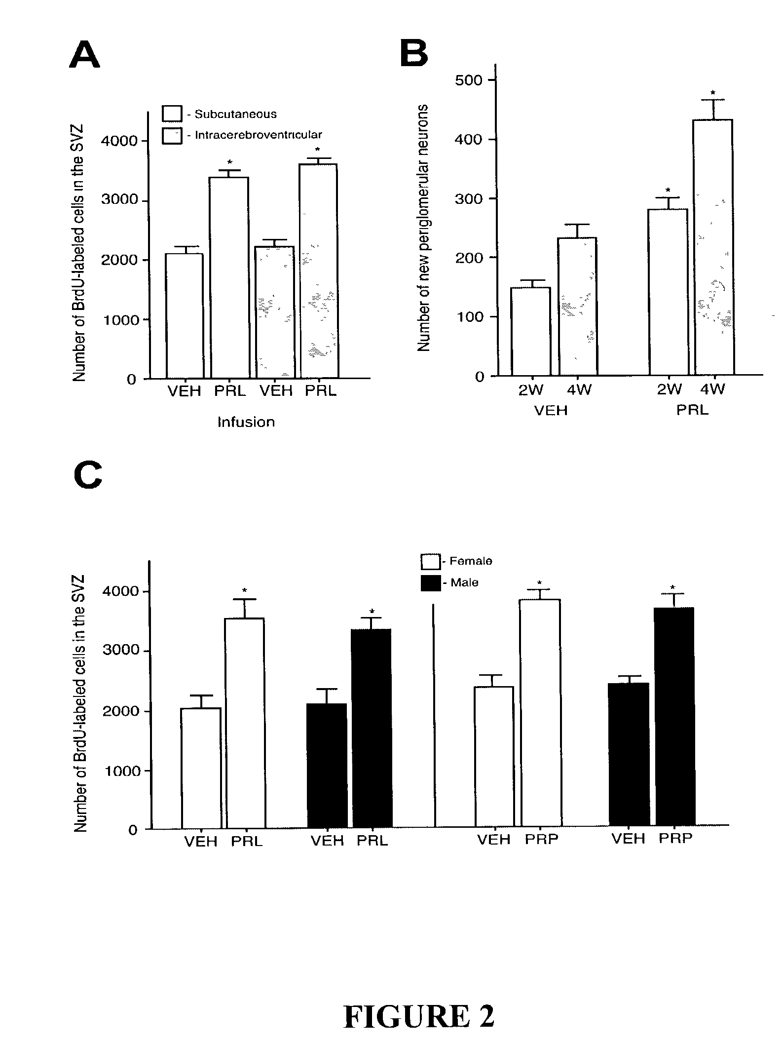Prolactin induced increase in neural stem cell numbers