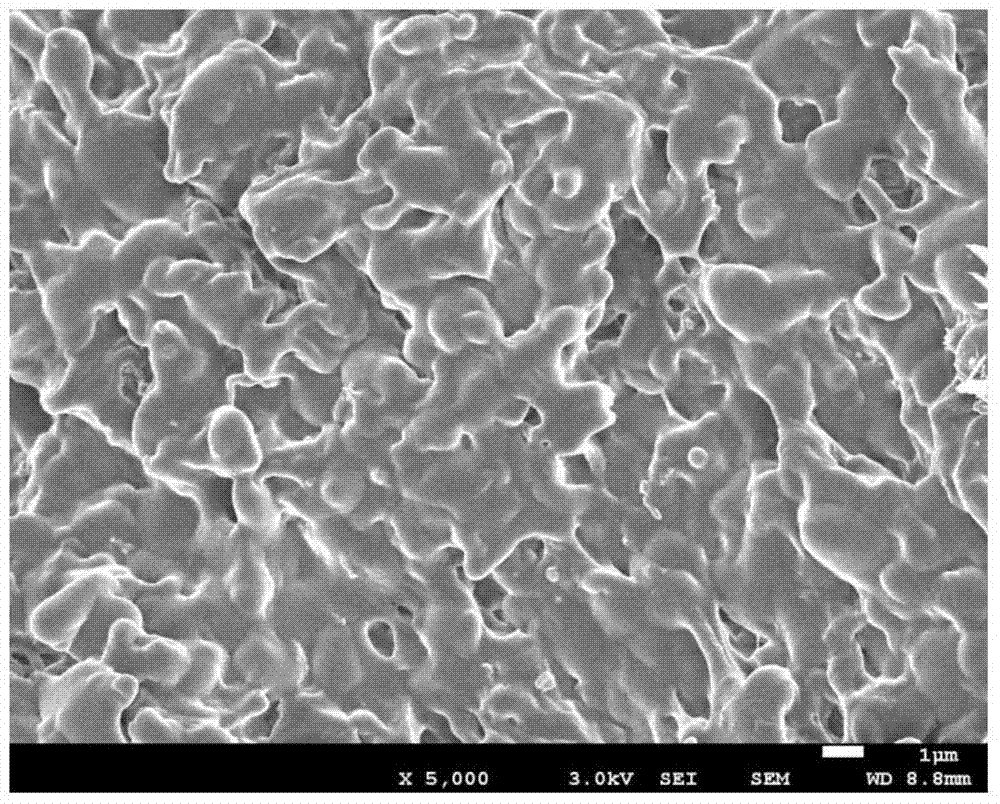 Rubber-plastic blend composition, dynamically vulcanized thermoplastic elastomer and preparation method thereof