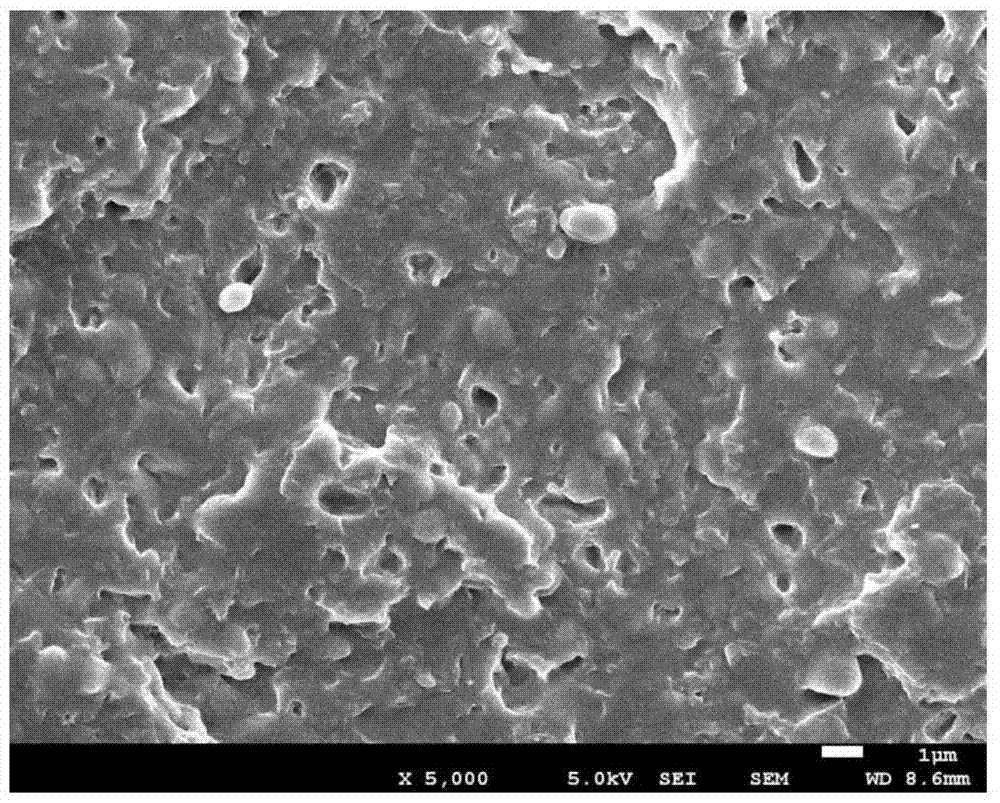 Rubber-plastic blend composition, dynamically vulcanized thermoplastic elastomer and preparation method thereof