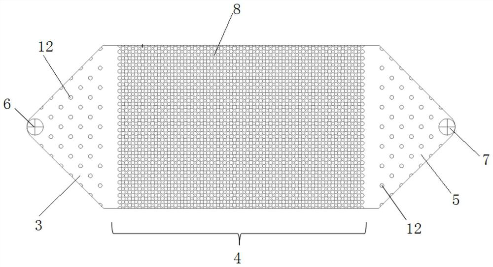 Method for detecting environmental behaviors and biological effects of nanoparticle pollutants