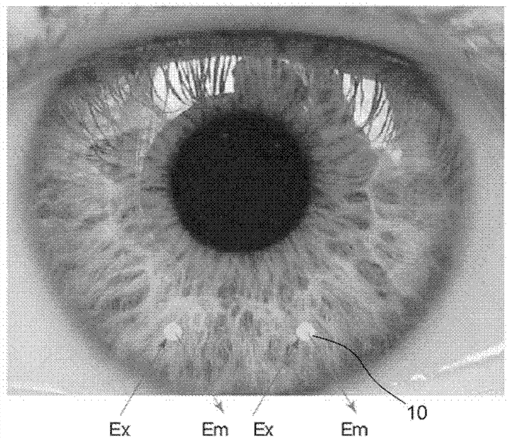 Flexible eye insert and glucose measuring system