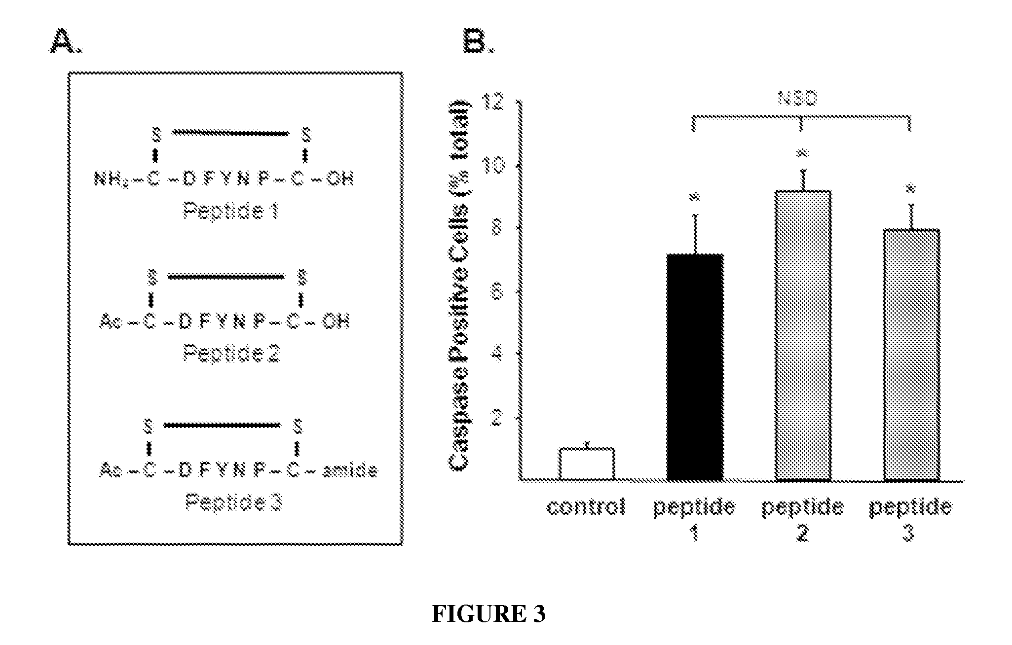 Tight junction protein modulators and uses thereof