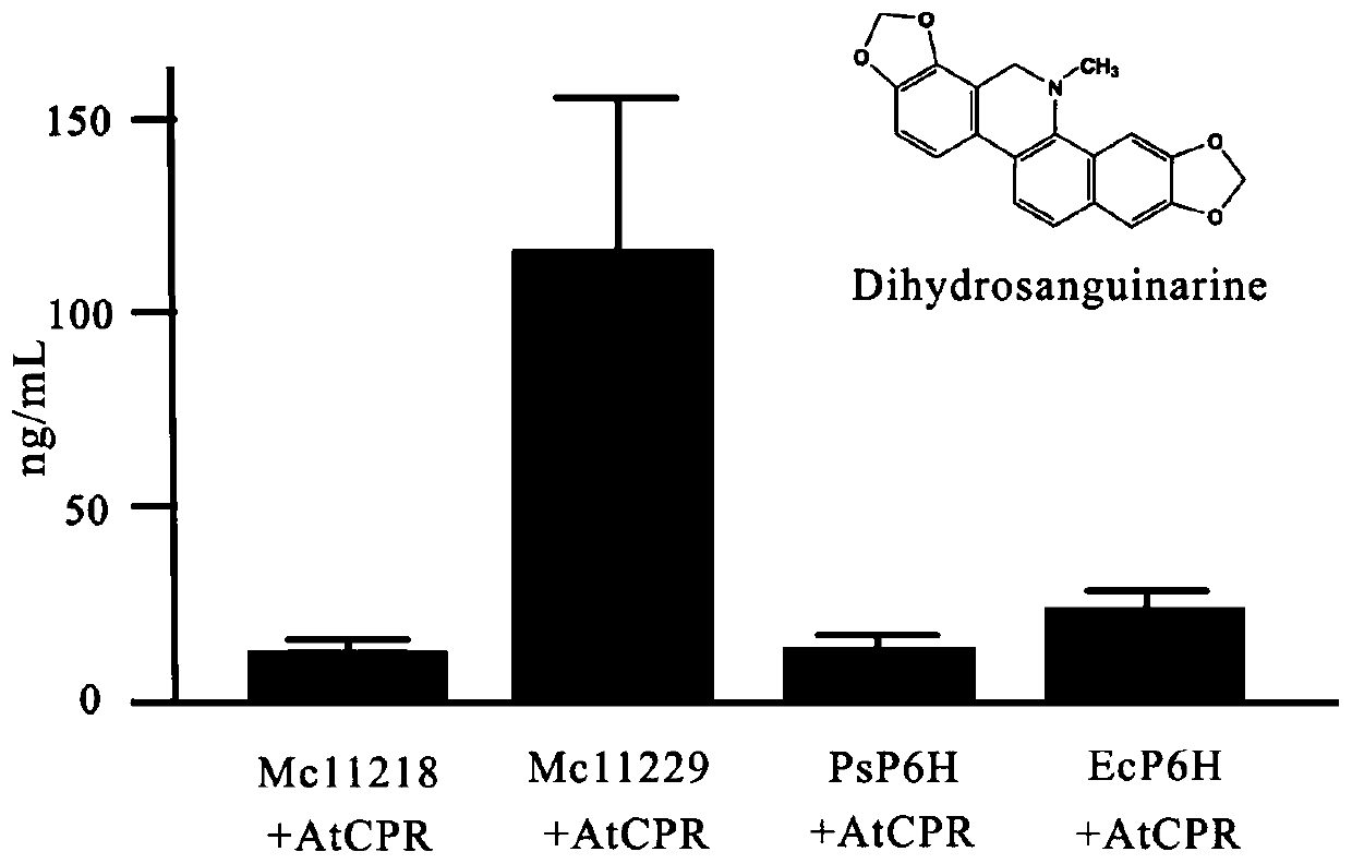 High-efficiency enzyme-catalyzed method for synthesizing sanguinarine and chelerythrine