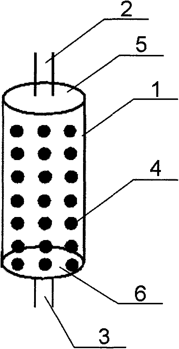 Novel tannin cured chitosan heavy metal ion dynamic absorption device and preparation method thereof