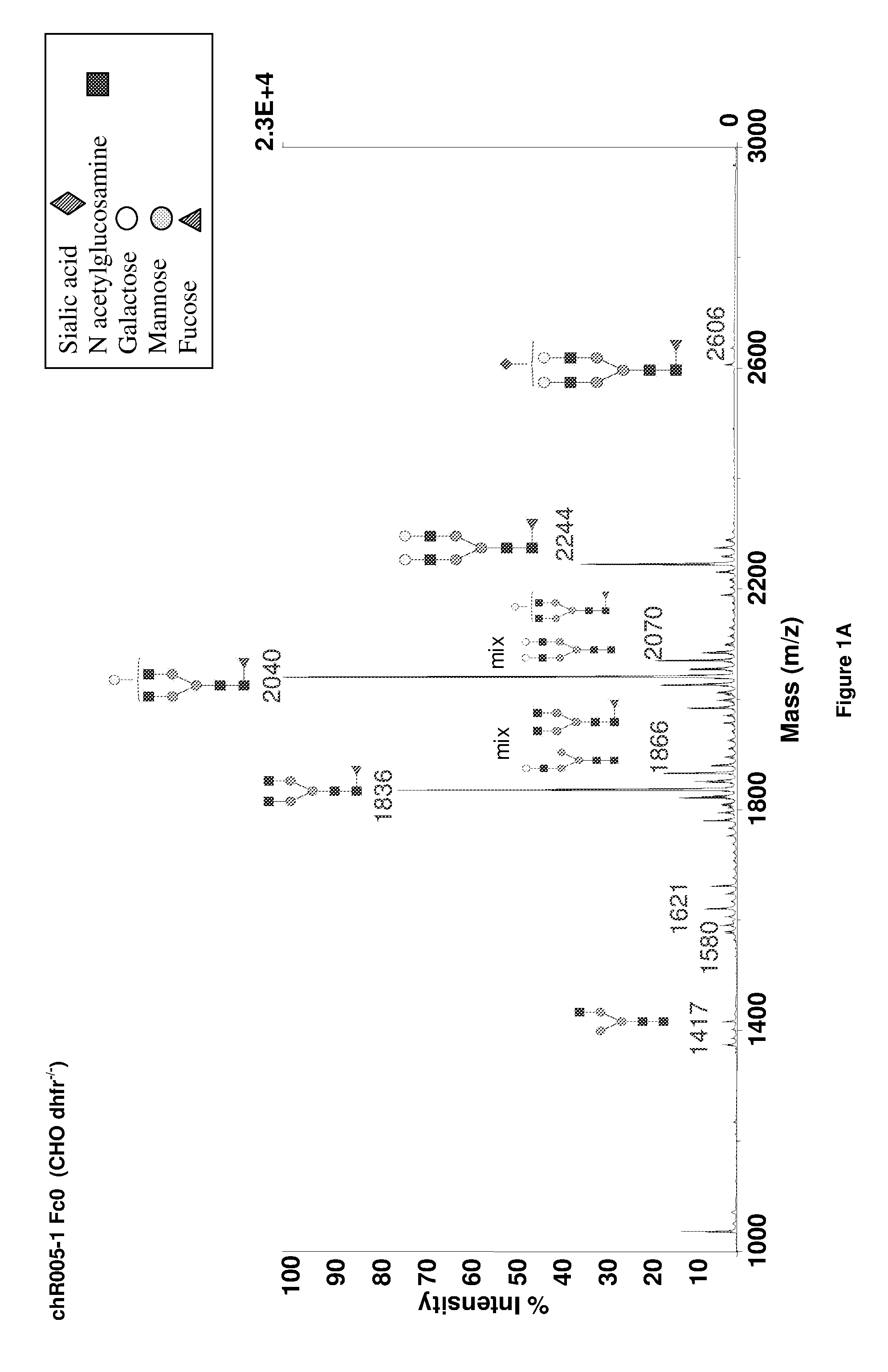 Method to Improve Glycosylation Profile and to Induce Maximal Cytotoxicity for Antibody