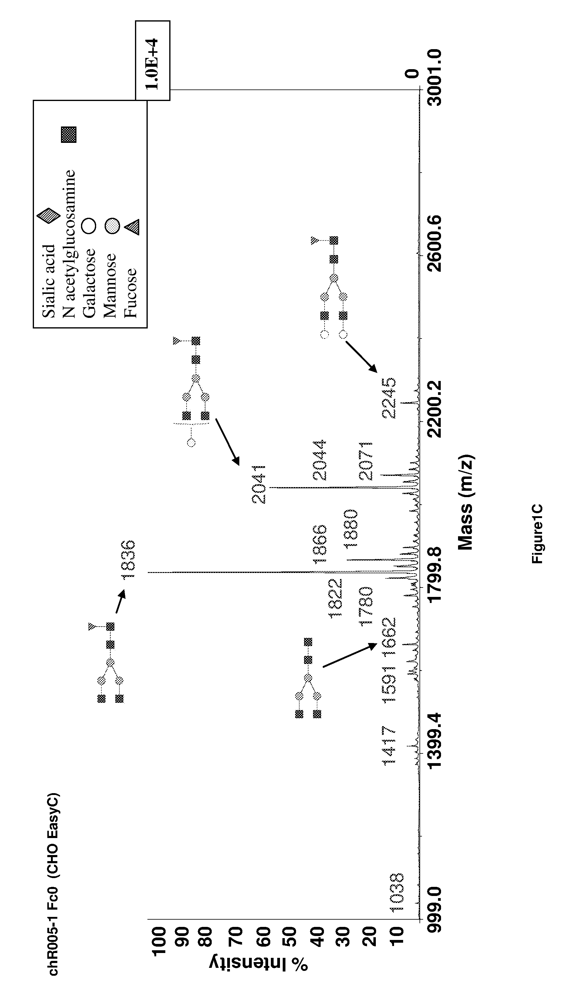 Method to Improve Glycosylation Profile and to Induce Maximal Cytotoxicity for Antibody