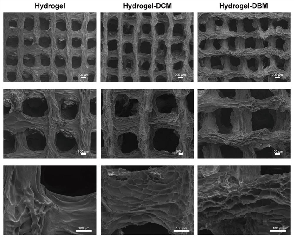 A 3D biomimetic biological scaffold containing stem cell exosomes and its application