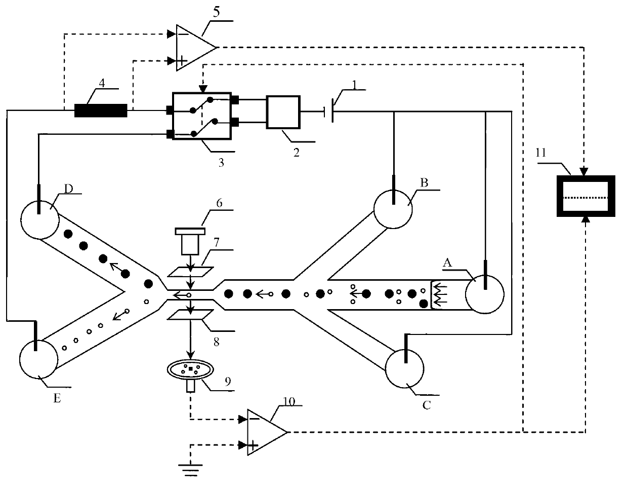 Device and method for rapidly detecting surviving unicellular organisms in ship ballast water