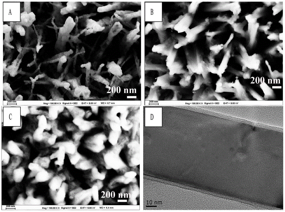 Polyaniline-carbon layer-titanium nitride nanowire array composite material and preparation method and application thereof