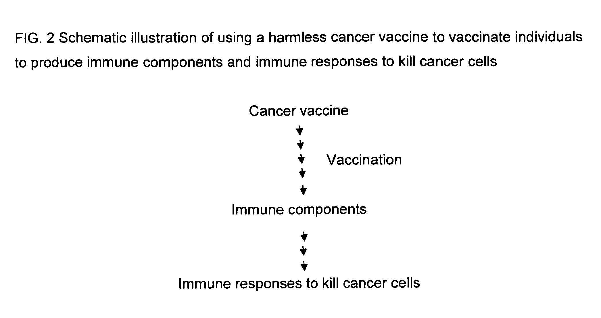 Proteinase-engineered cancer vaccine induces immune responses to prevent cancer and to systemically kill cancer cells