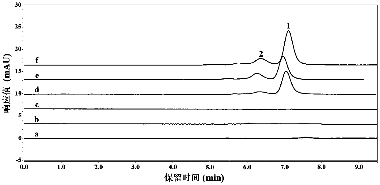 Method for separating and purifying protein through aqueous-two-phase system