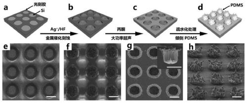 A micro-nano composite structure surface matching the size of circulating tumor cells, its preparation method and its application
