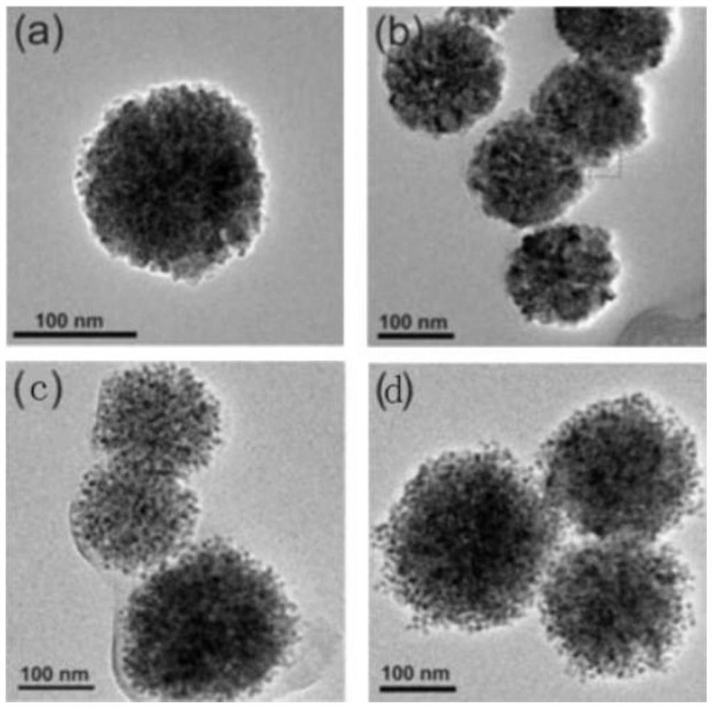 Polysaccharide magnetic biochar nanoparticles as well as preparation method and application thereof