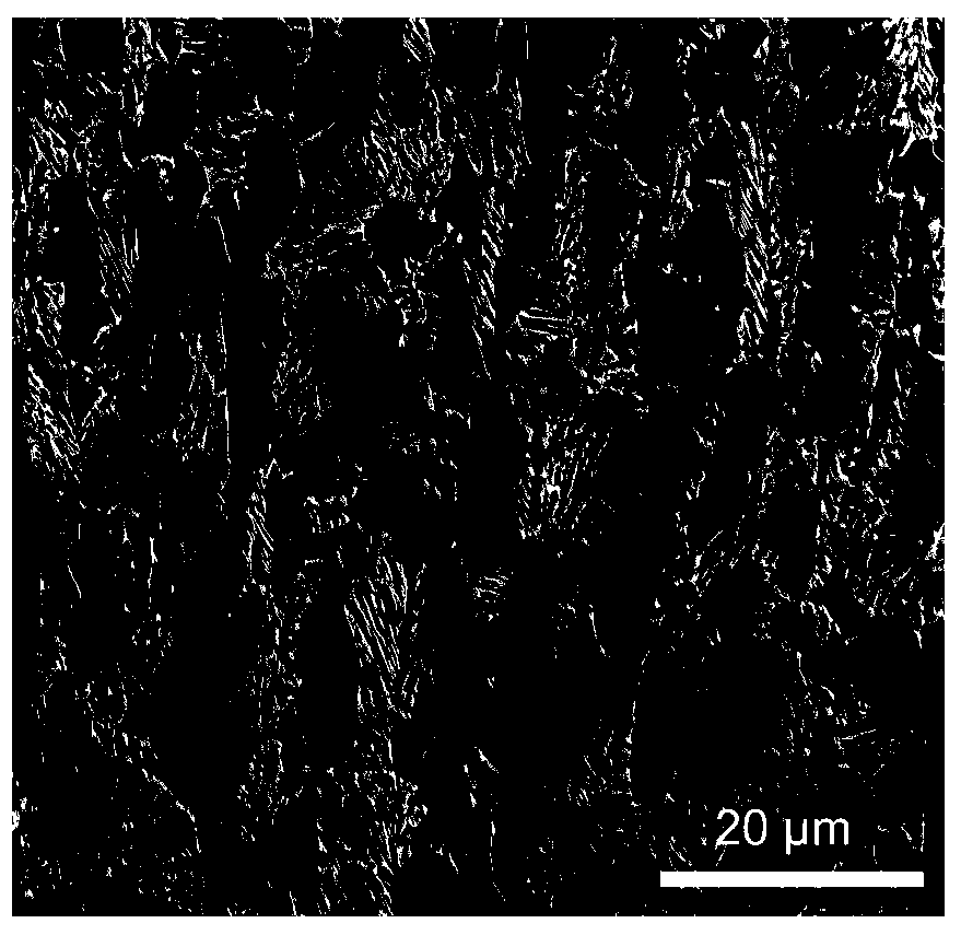 Method for quantitatively evaluating each phase structure in hot rolling TRIP (transformation-induced plasticity) steel