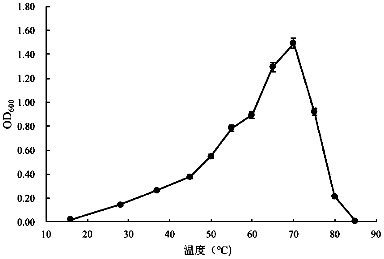 Thermophilic facultative anaerobic microbial strain and application thereof