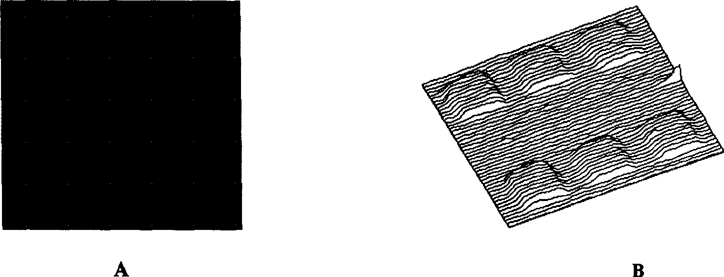 Bilayer lipid membrane surface modified protein chip and its manufacturing method and use