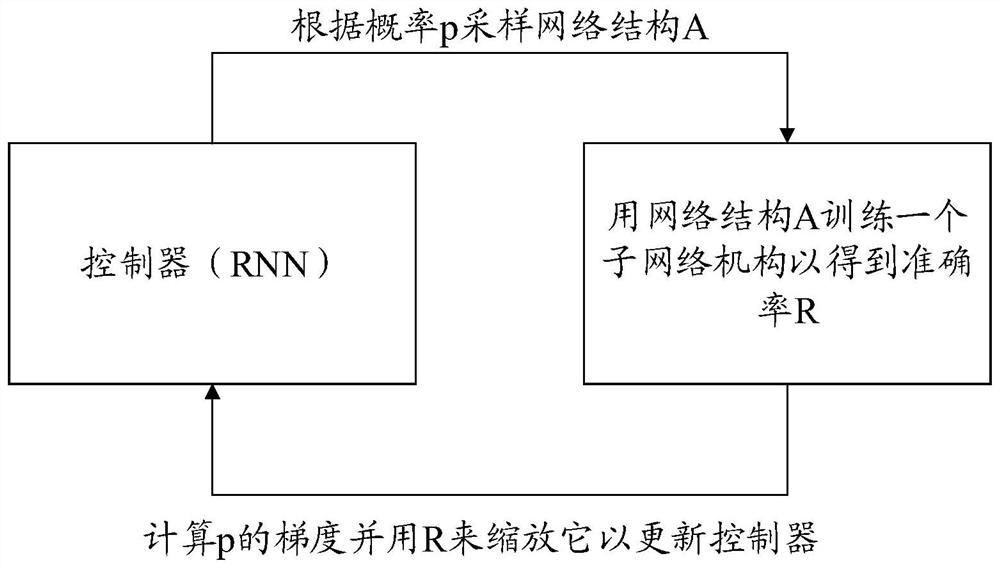 Network structure searching method and device
