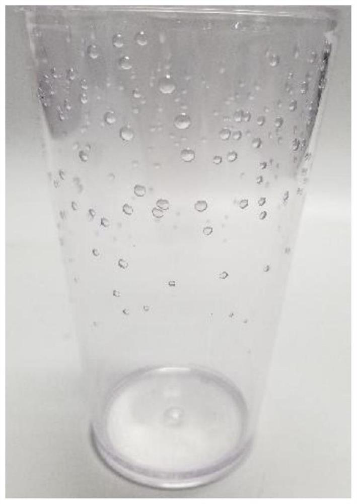 A kind of bubble cup and preparation method thereof