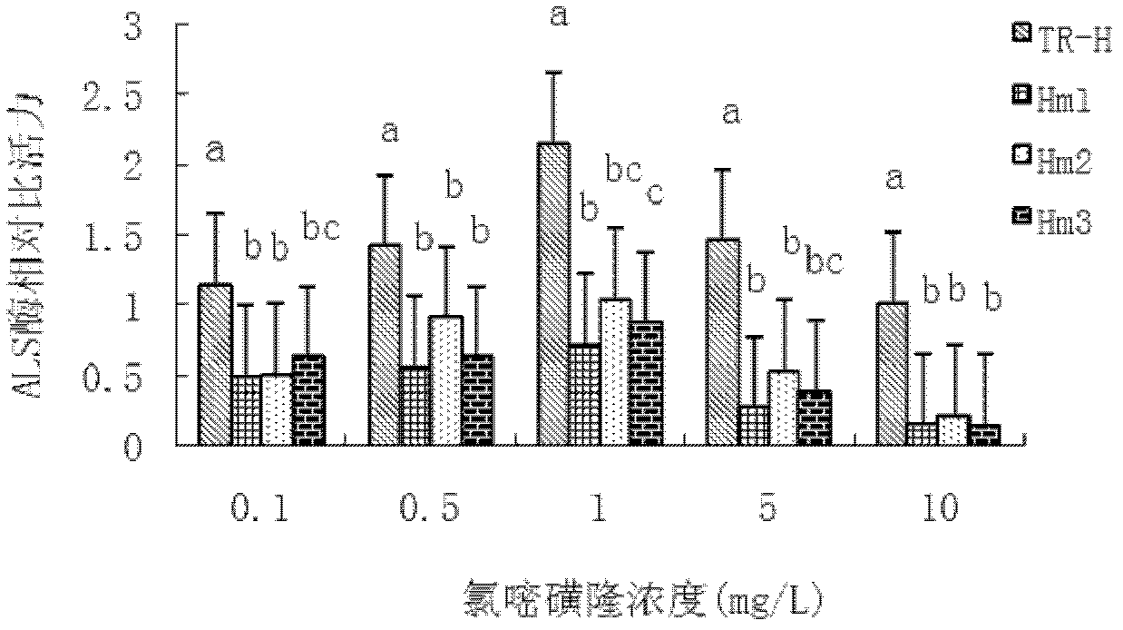 Chlorimuron-ethyl resistance-associated protein as well as encoding gene and application thereof