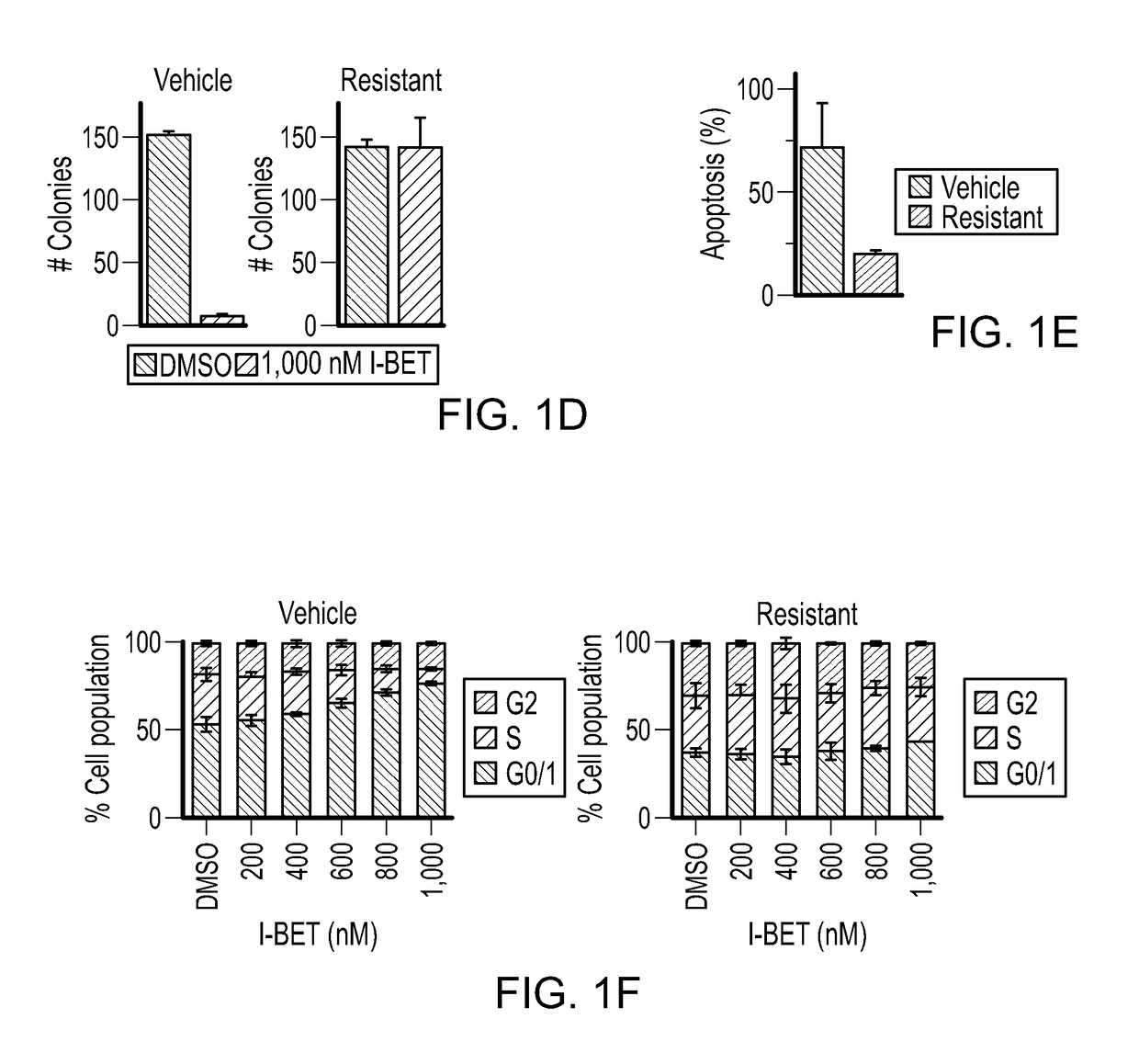 Leukaemia stem cell line, its method of production and uses thereof