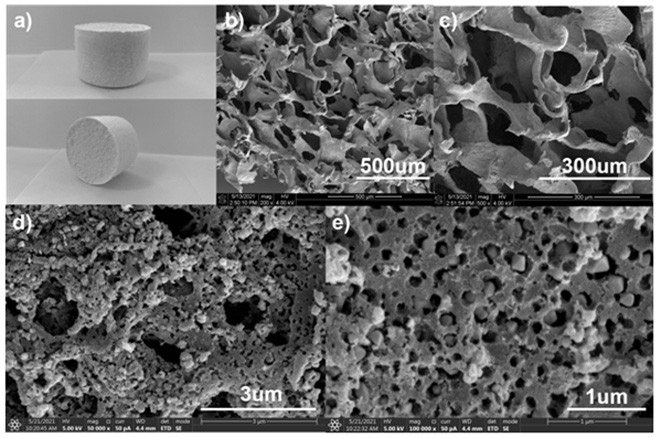 Carbon-based inverse spinel copper ferrite fuel cell cathode material constructed with collagen fiber/nanofiber composite airgel as a template
