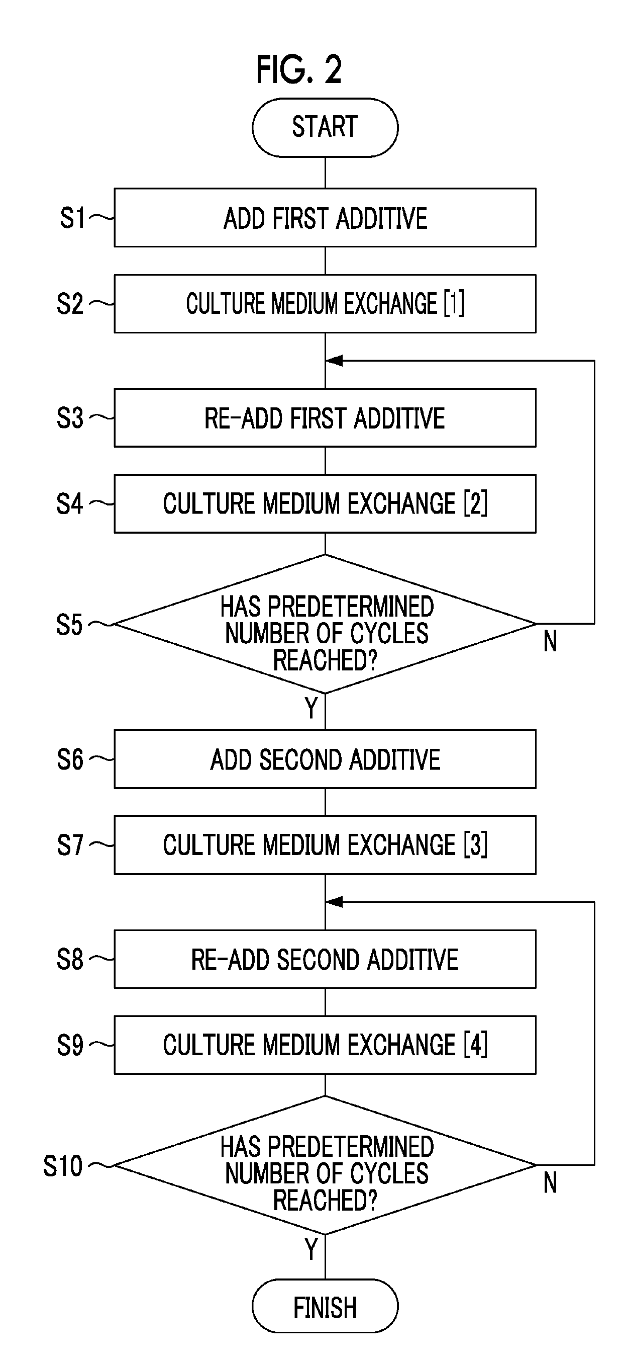 Cell culture apparatus and cell culture method