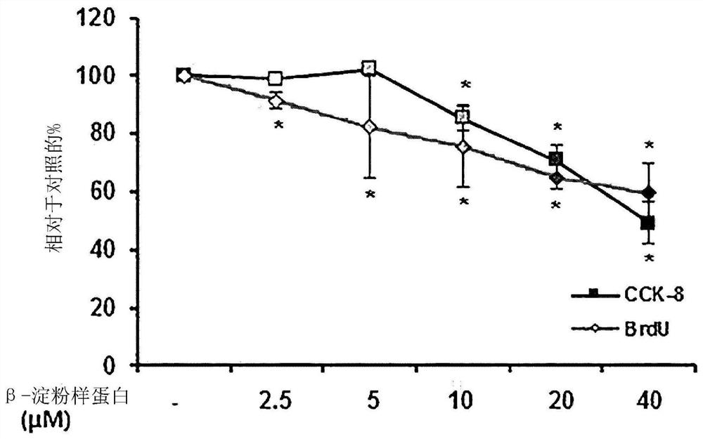 Peptide having neuron loss prevention and regeneration effects and composition comprising same