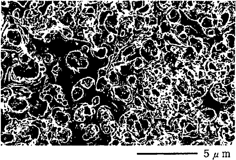 Magnesium or magnesium alloy article having electroconductive anodic oxidation coating on the surface thereof and method for production thereof