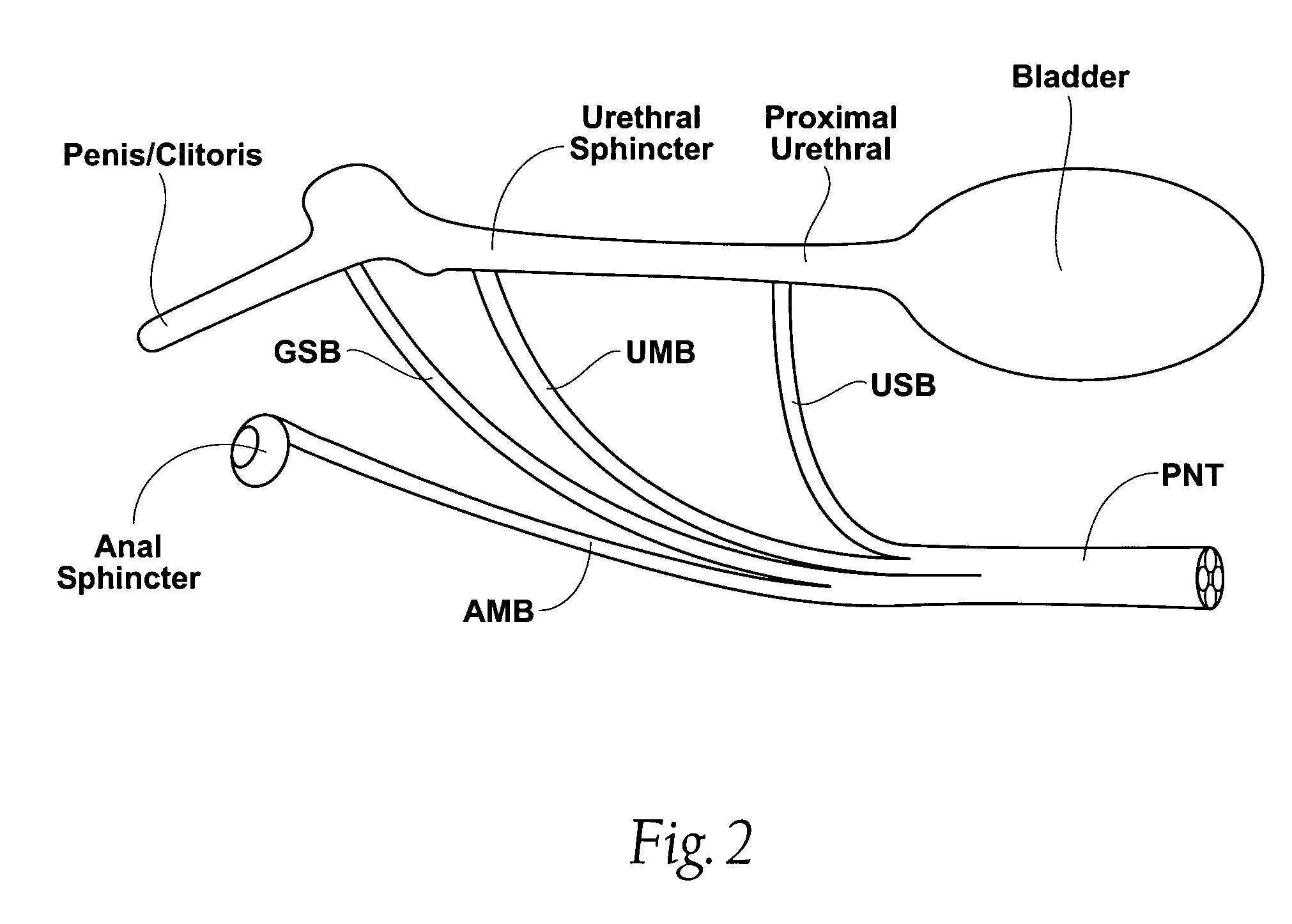 Methods for stimulating components in, on, or near the pudendal nerve or its branches to achieve selective physiologic responses
