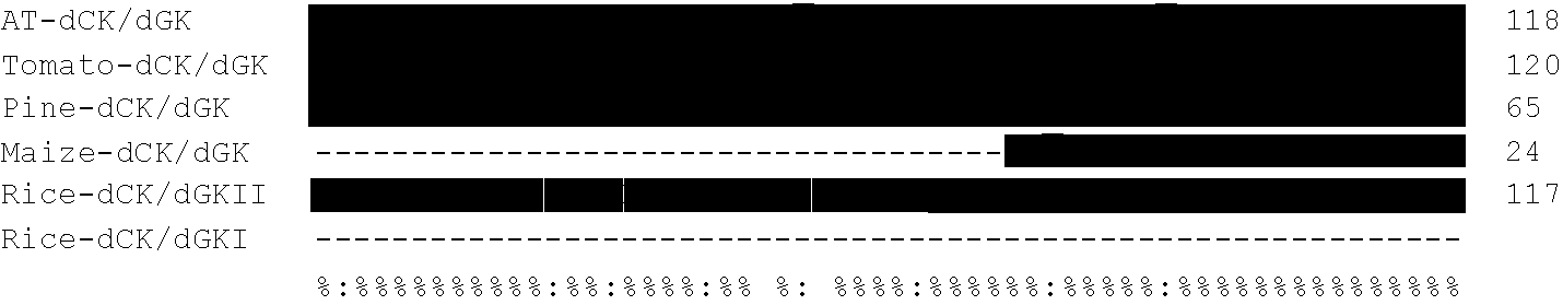 Plant deoxyribonucleoside kinase enzymes and their use