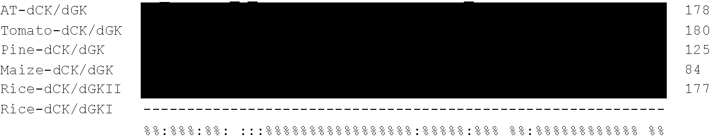 Plant deoxyribonucleoside kinase enzymes and their use